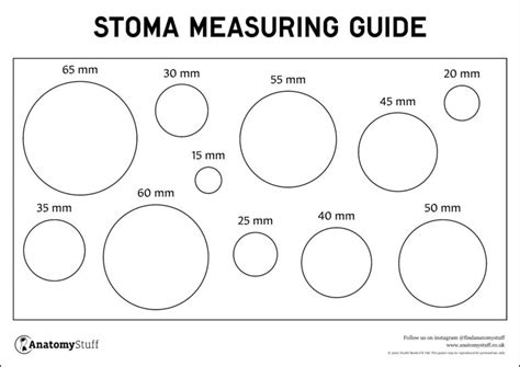 Stoma Template