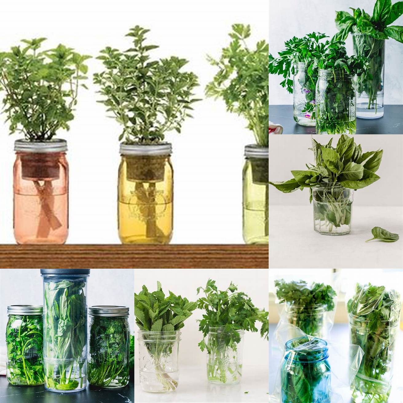 Store herbs in a glass of water