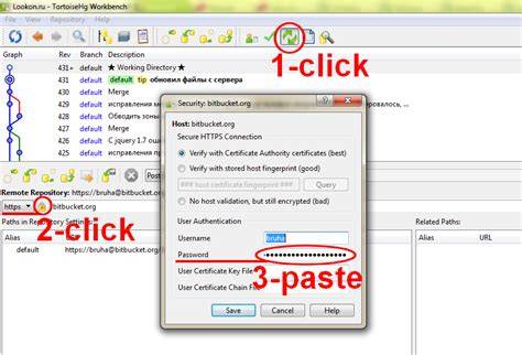 Store password in TortoiseHg