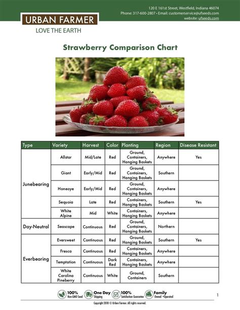 Strawberry Ripening Chart