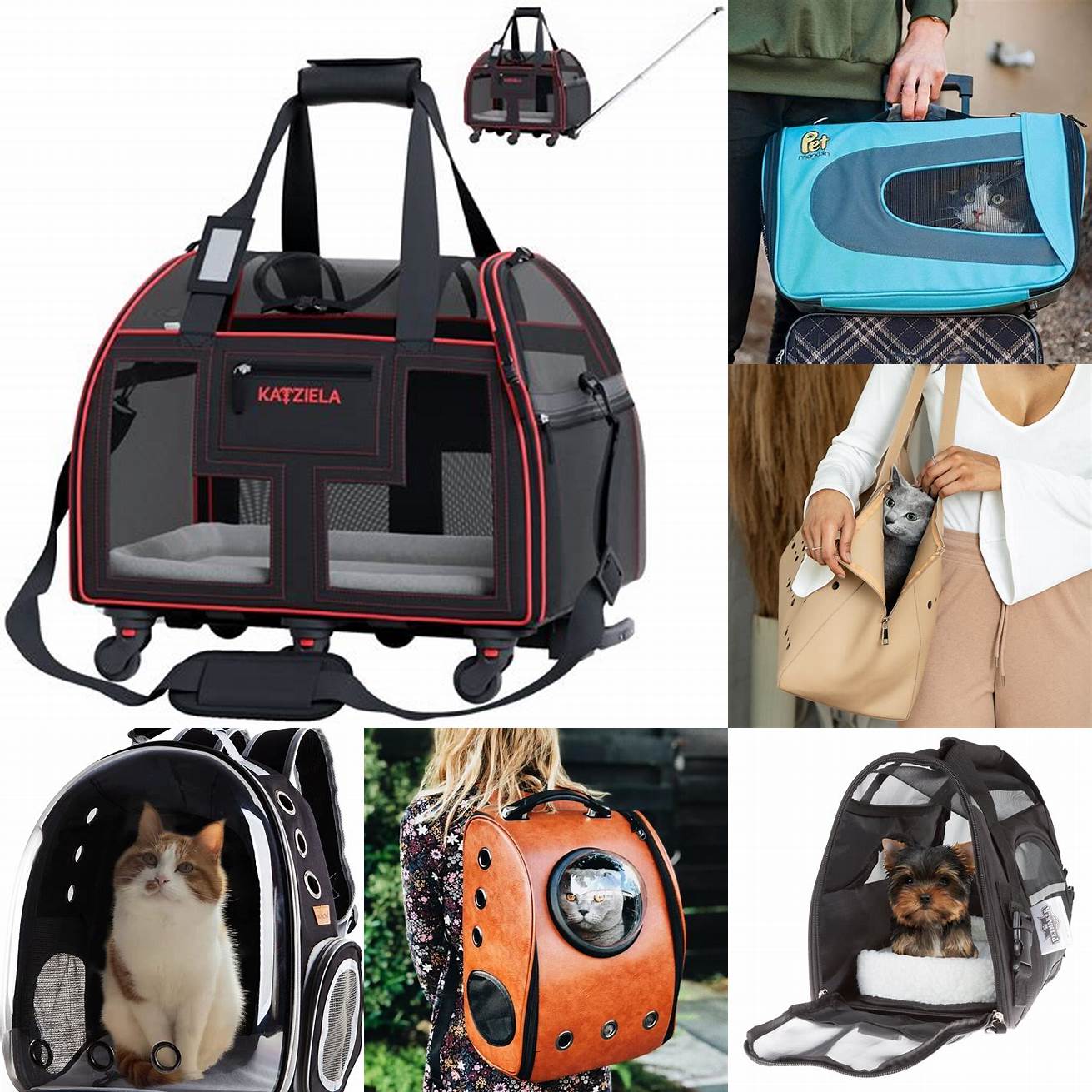 Stylish Cat Carriers