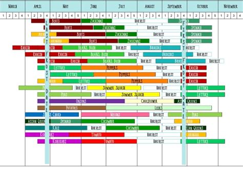 Succession Planting Chart Zone 6