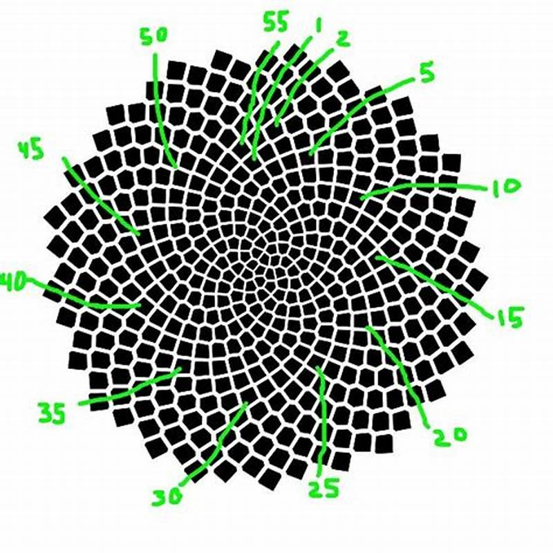 Sunflower Math Pattern