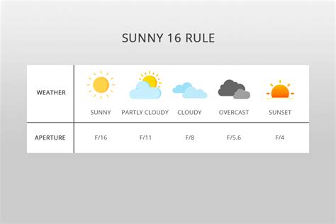 Sunny Chart