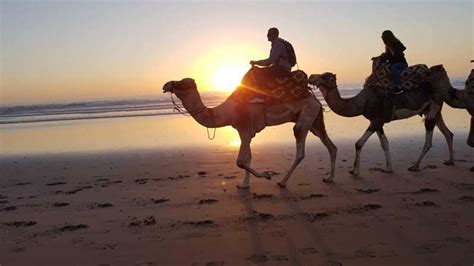 Sunset Camel Ride Agadir