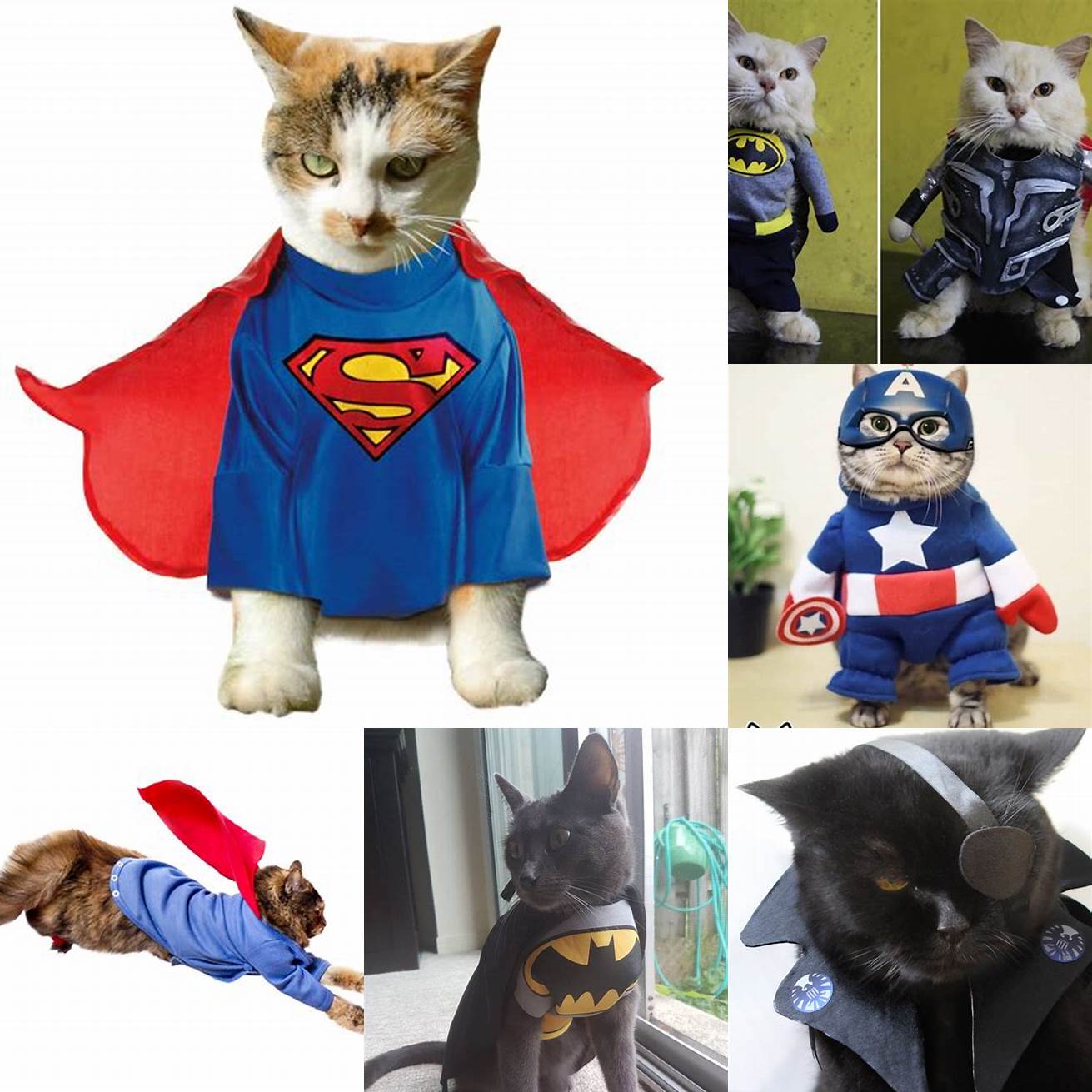 Superhero Cat Costume