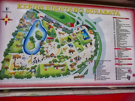 Kebun Binatang Surabaya Wildlife Park