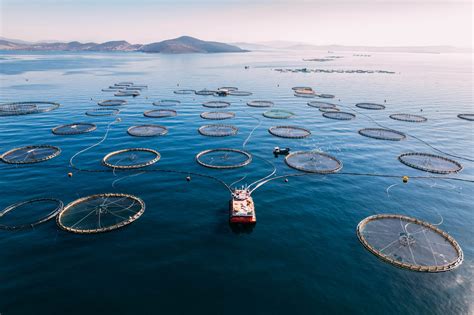 Sustainable Fishing Technology