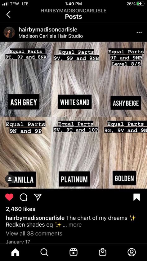 Swatch Ion Toner Chart