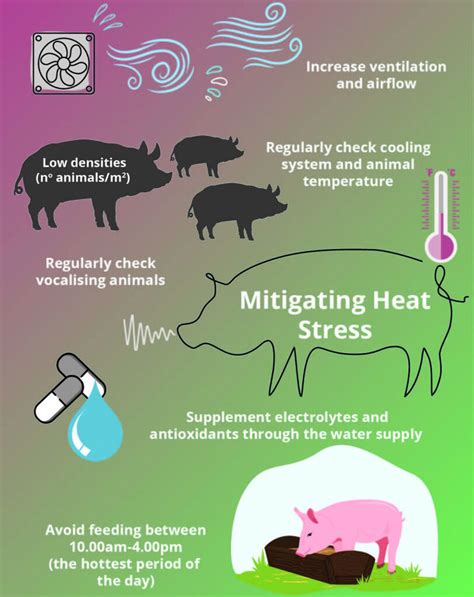 Swine Heat Cycle Chart