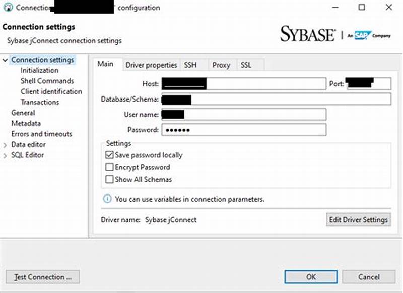 Sybase Database Cannot Set Connection Option Set Catalog