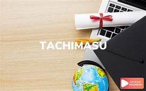 Tachimasu