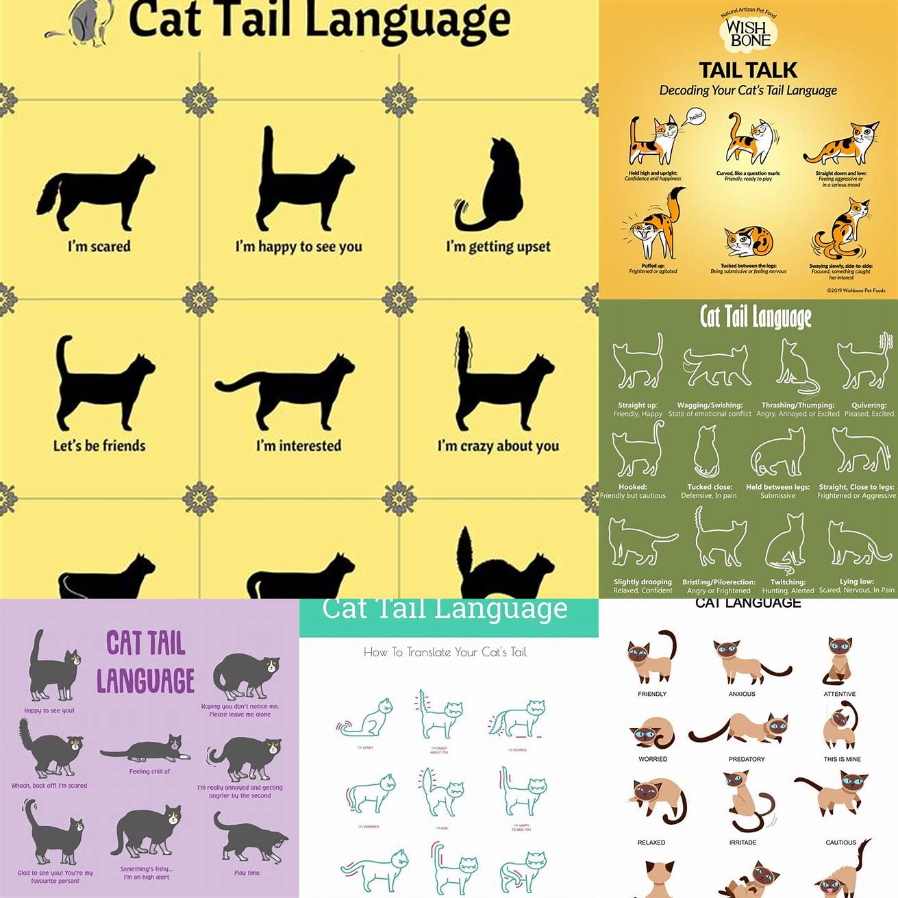 Tail Language