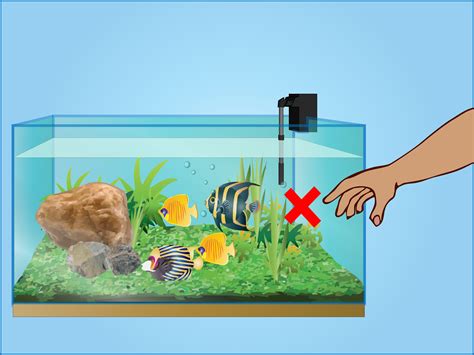Taking care of your fish tank lid