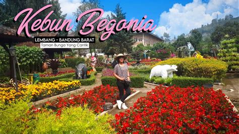 Taman Bunga Bandung Begonia Park Malam