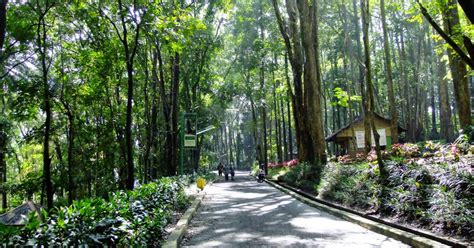 Taman Hutan Raya Ir. Soekarno