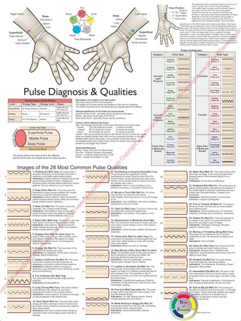 Tcm Pulse Diagnosis Chart