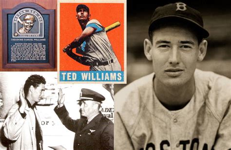 Ted Williams Career