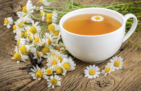 Teh Chamomile