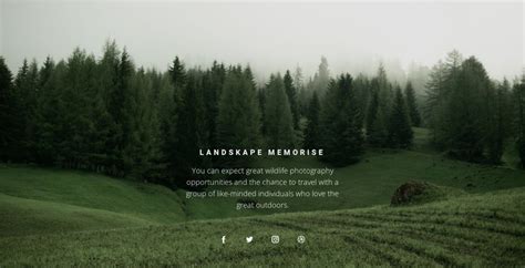 Template Forest Wordpress