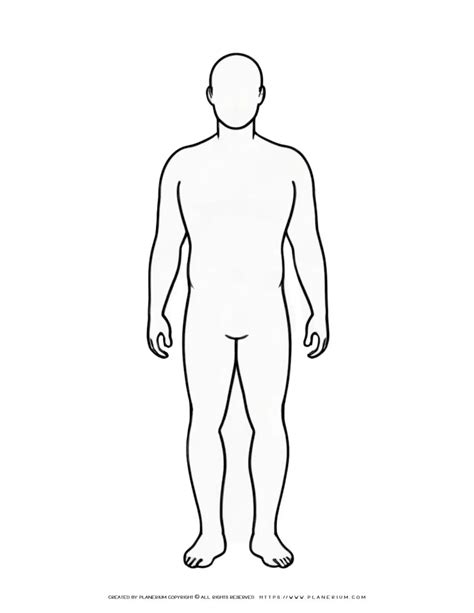 Template Of A Body