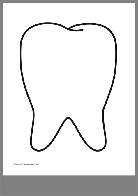 Template Of Tooth