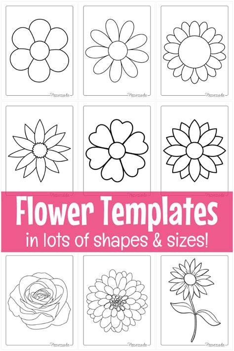 Templates For Flowers And Leaves