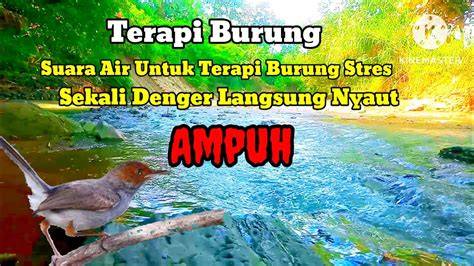 Terapi Penguapan