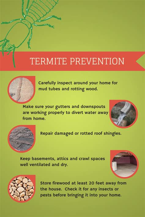Termite Prevention Ti… 