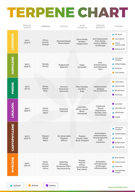 Terpenes And Their Effects Chart