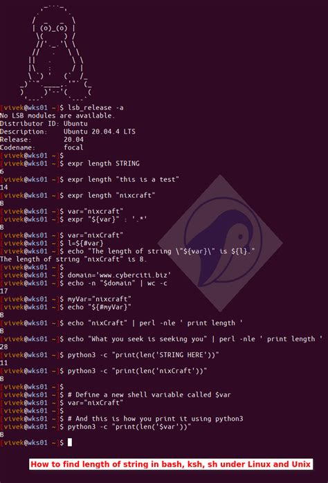 Test for non-zero length string in Bash  -n var  or  var 