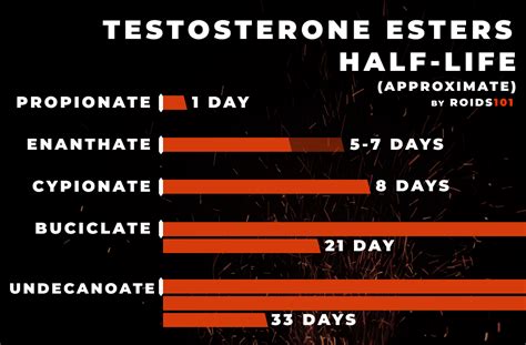Testosterone Half Life Chart