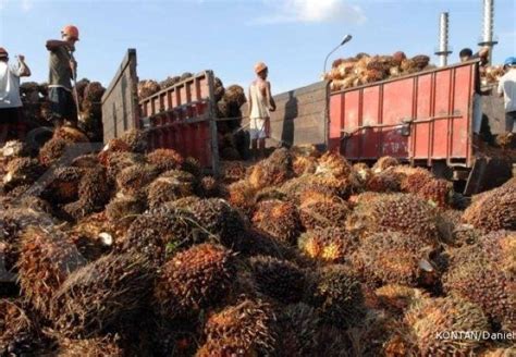 Tetapkan Harga yang Tepat
