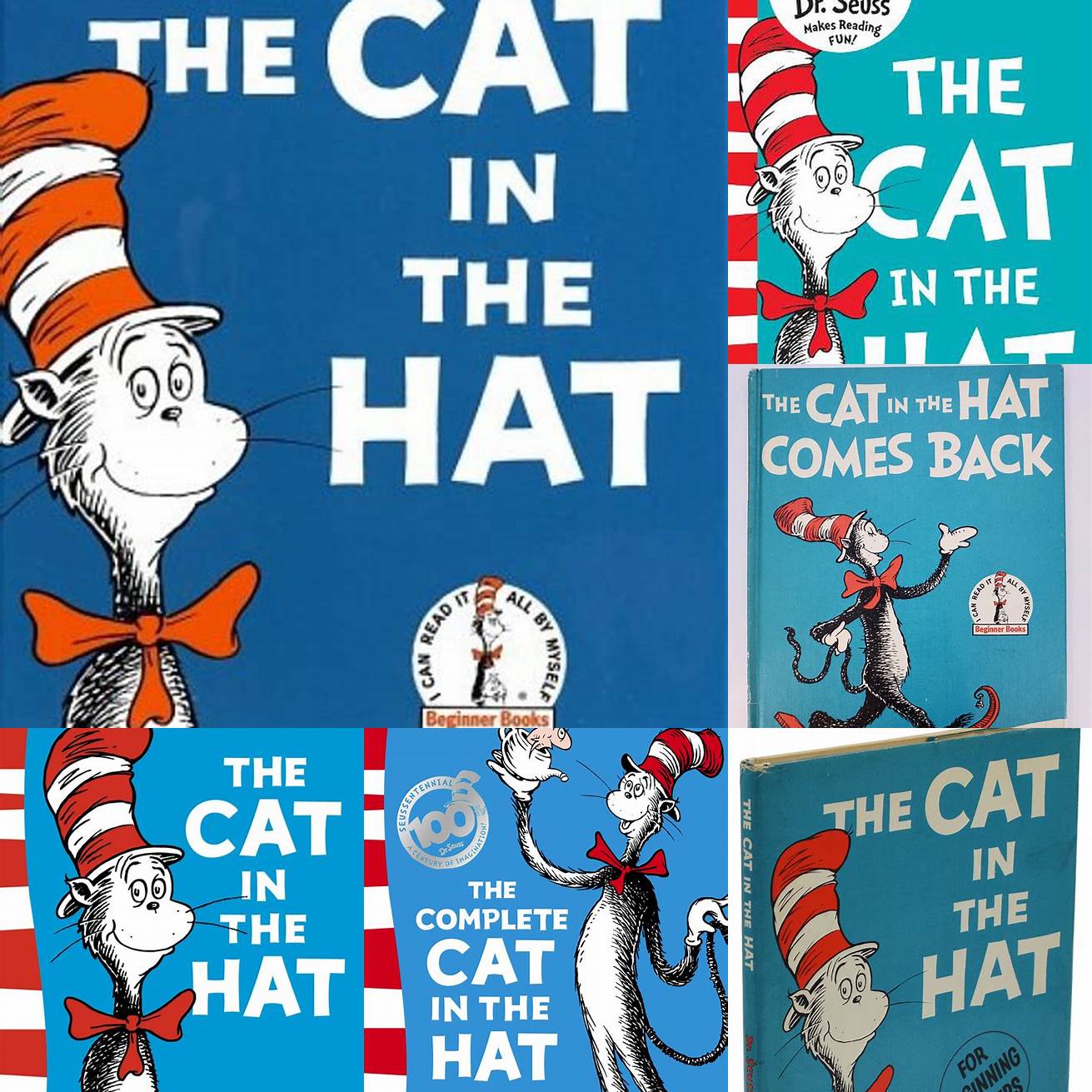The Cat in the Hat Book Cover