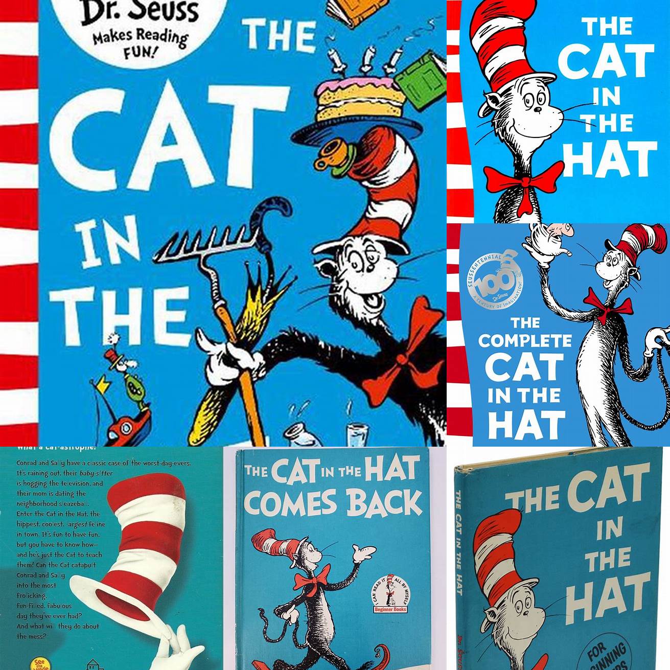 The Cat in the Hat Book