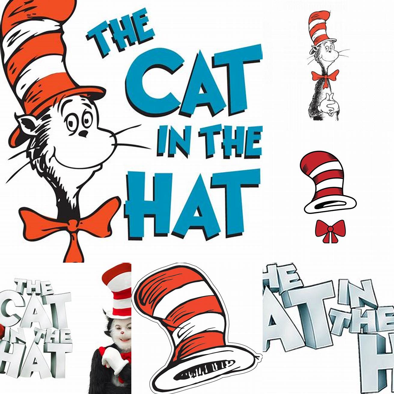 The Cat in the Hat Logo on a T-Shirt