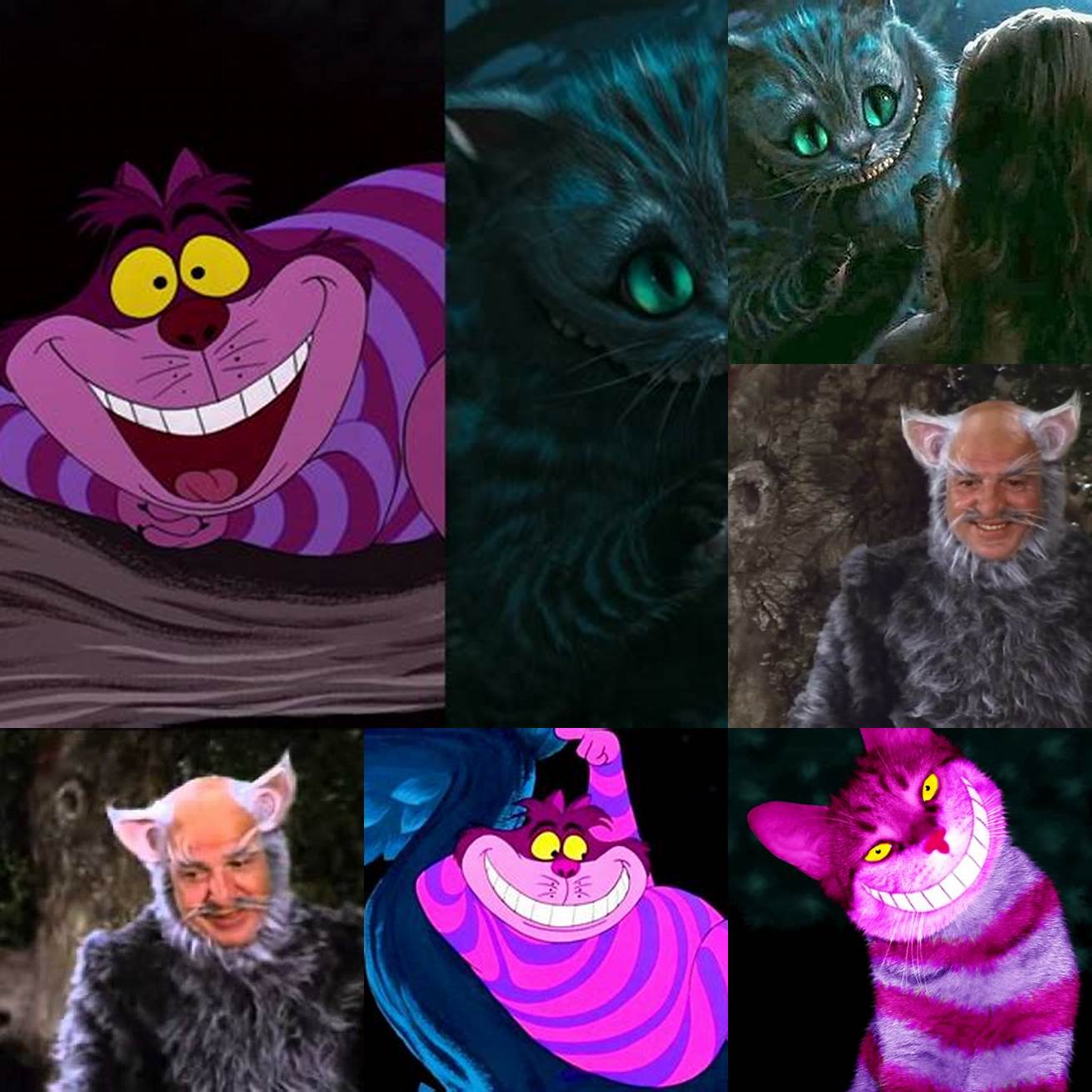 The Cheshire Cat has been portrayed by several famous actors