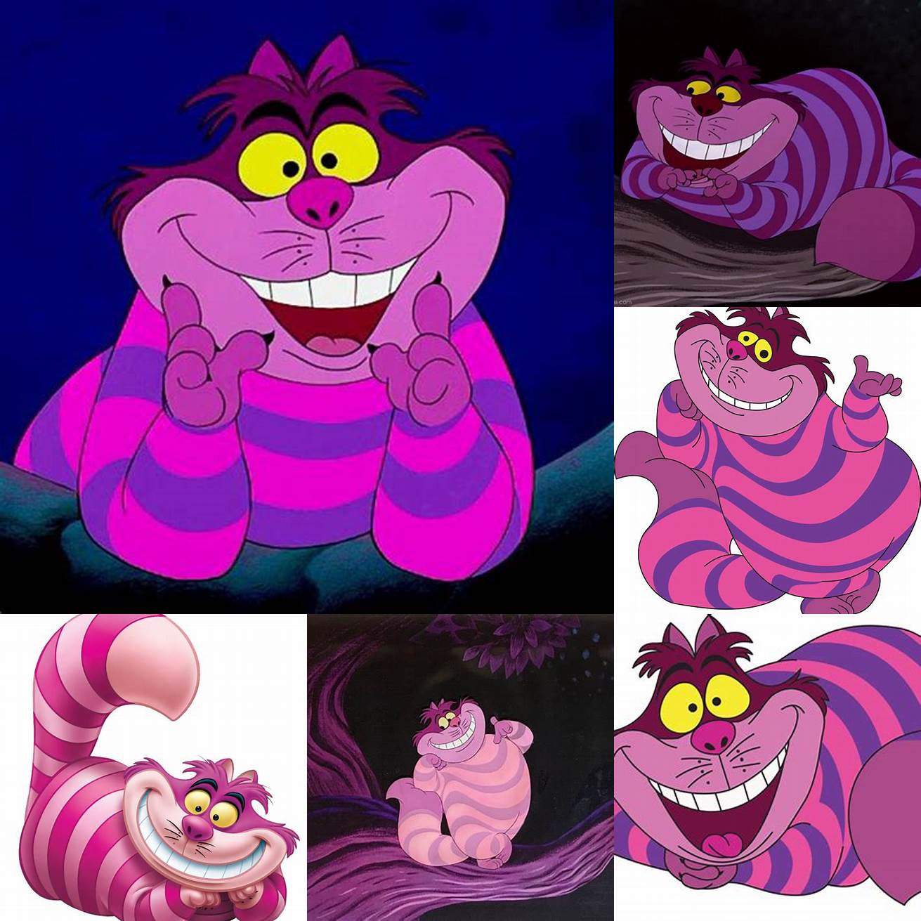 The Cheshire Cat in Disneys Alice in Wonderland