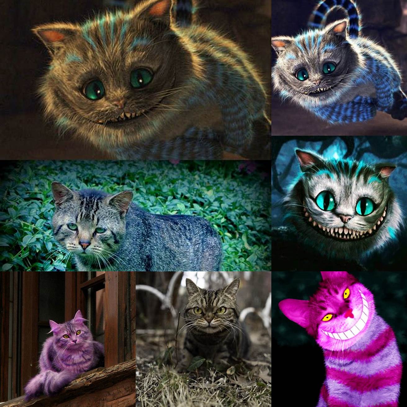 The Cheshire Cat was inspired by a real-life cat