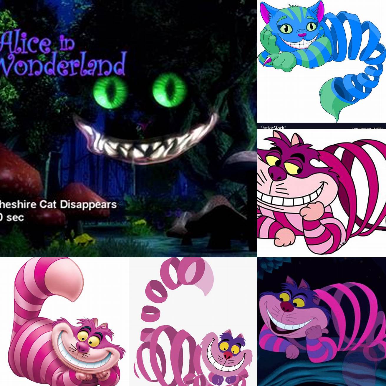 The Cheshire Cats Disappearing Act