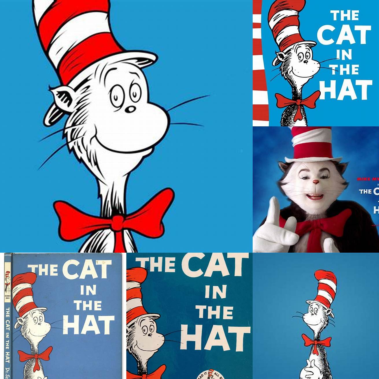 The Impact of The Cat in the Hat