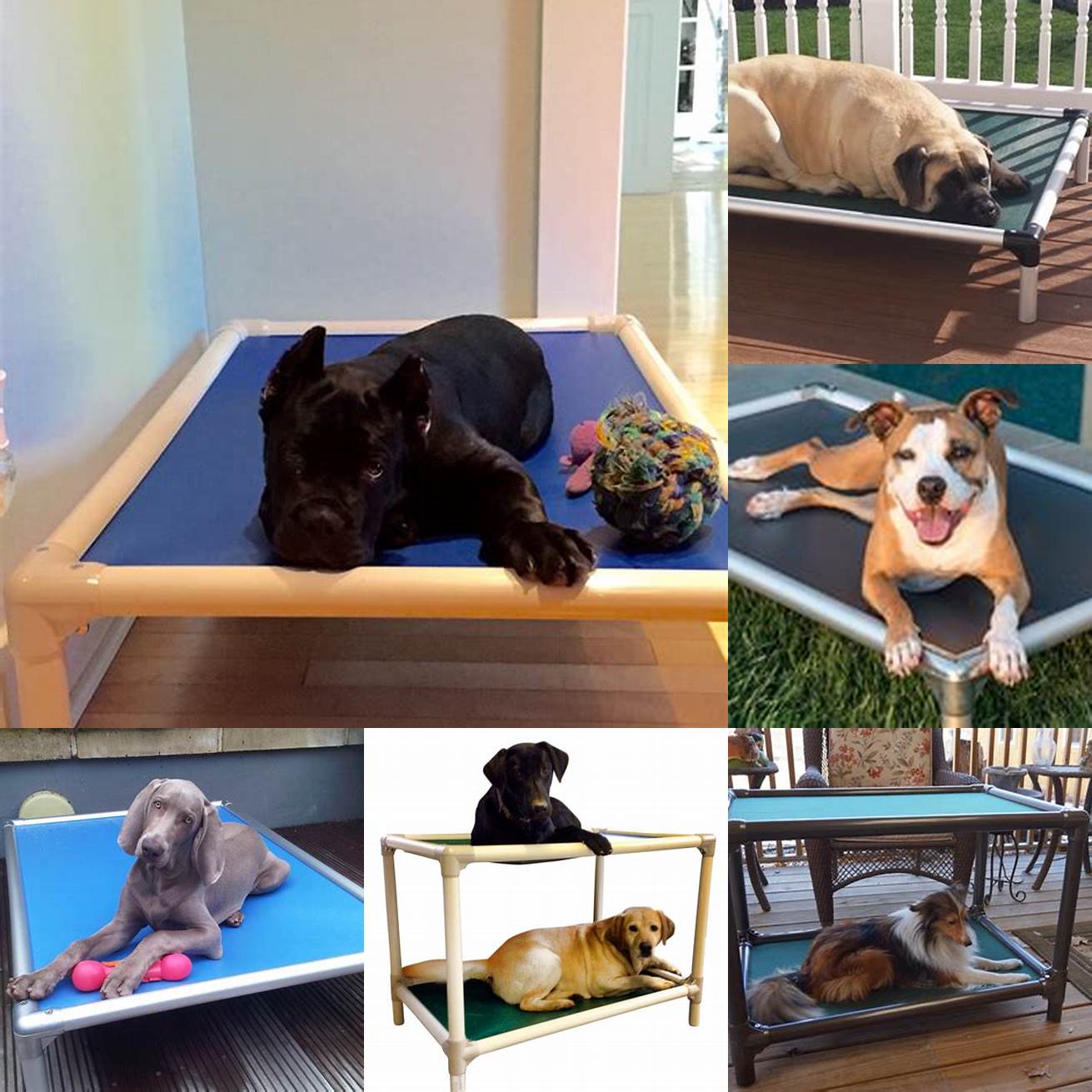 The Kuranda Dog Bed in different colors