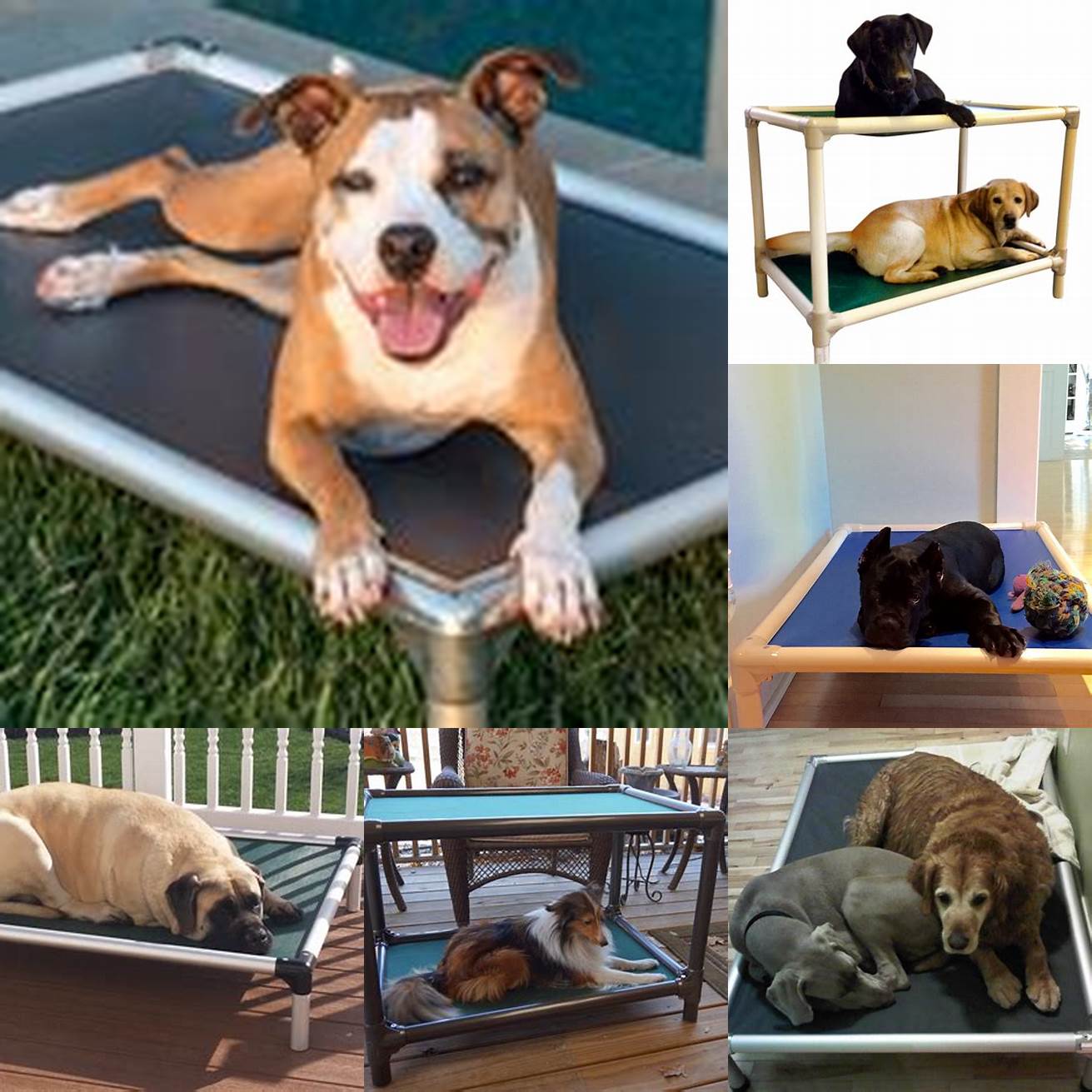 The Kuranda Dog Bed in different sizes