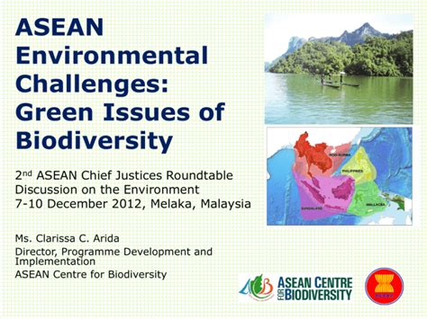 The ASEAN Declaration on Environmental Sustainability