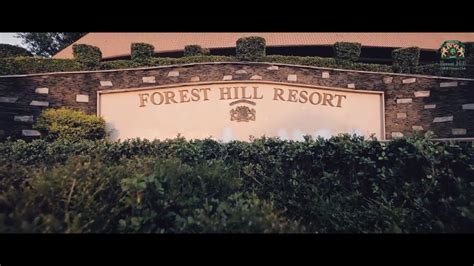 The Forest Hill Resort