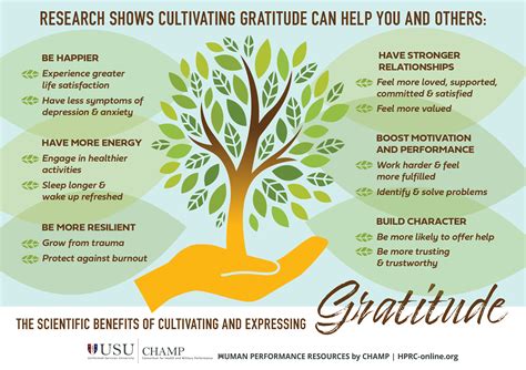 The Importance of Gratitude in Daily Life
