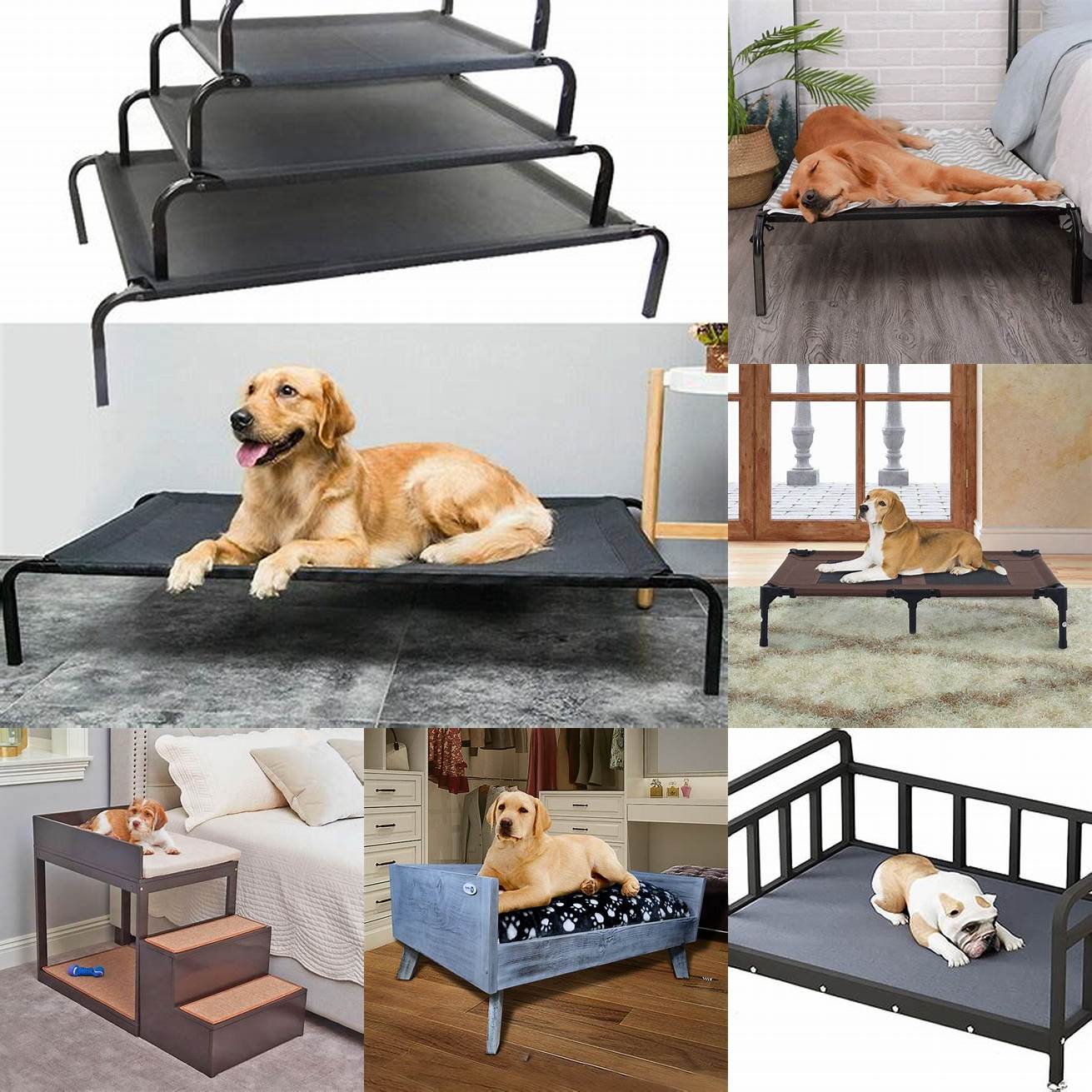 This elevated bed keeps dogs cool and comfortable even in warm weather