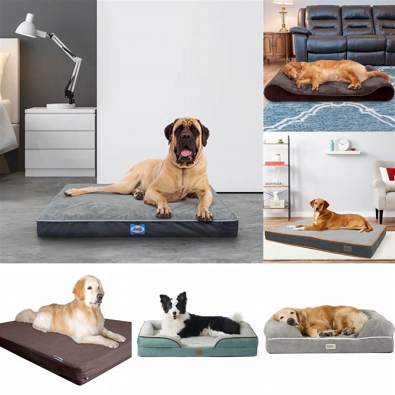 This orthopedic bed provides extra support and comfort for dogs with joint pain