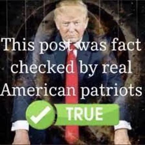 This Post Has Been Fact Checked Meme Template