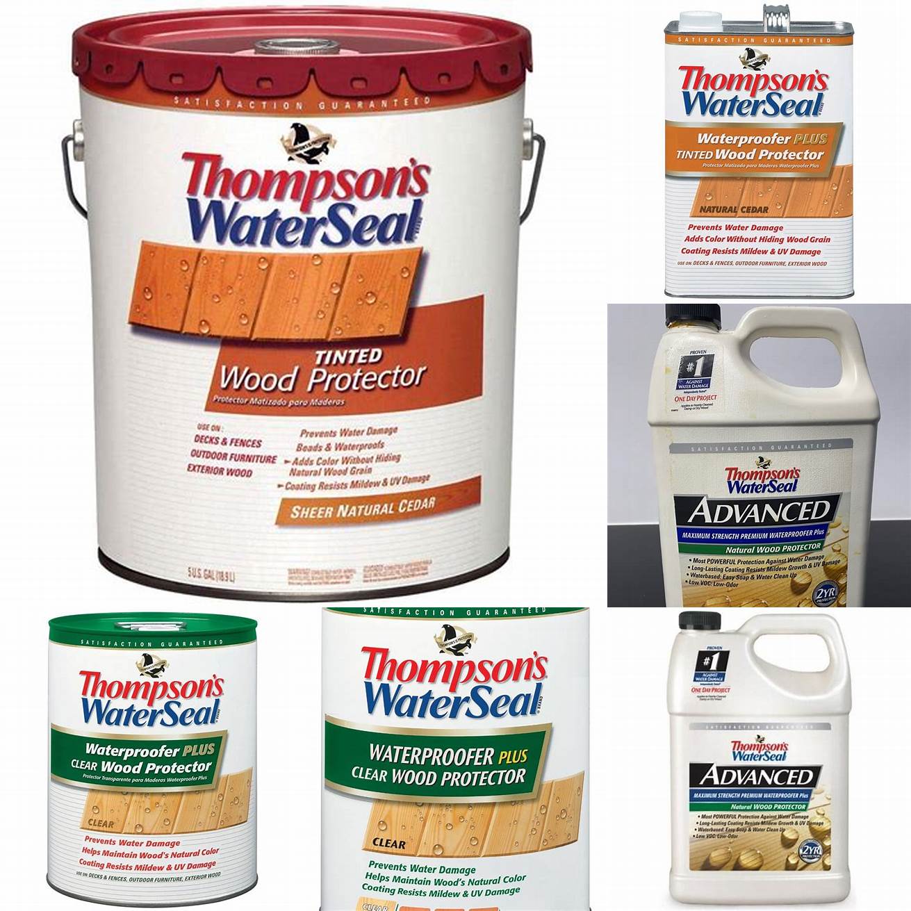 Thompsons WaterSeal Advanced Natural Wood Protector